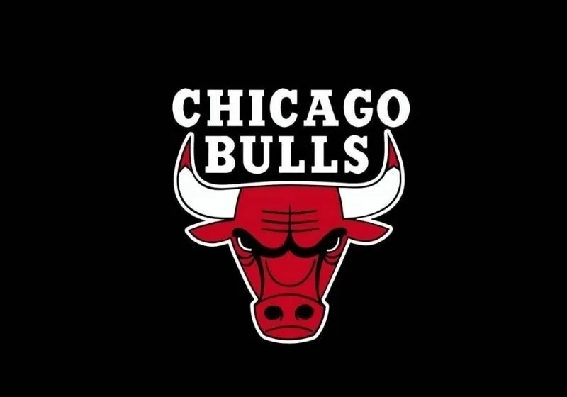 lịch sử hình thành của đội bóng rổ Chicago Bull