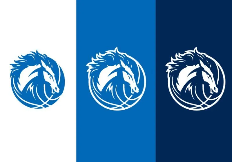 đội bóng rổ dallas mavericks chuyên nghiệp